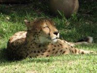 20100206 486.JPG